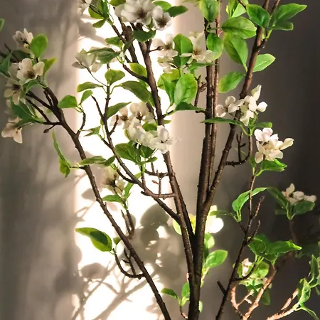 Flats - Avenida Baleares Apartment